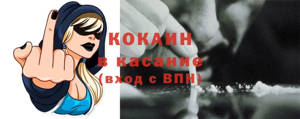 соль ск Каменка