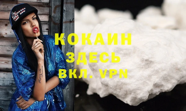 соль ск Каменка