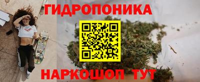 хмурый Канаш