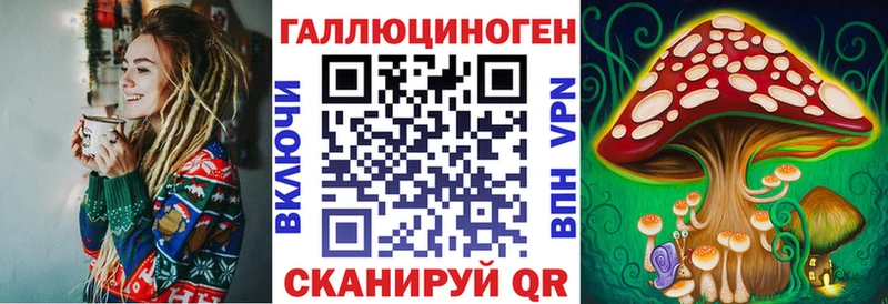наркота Усть-Джегута Псилоцибиновые грибы MAGIC MUSHROOMS