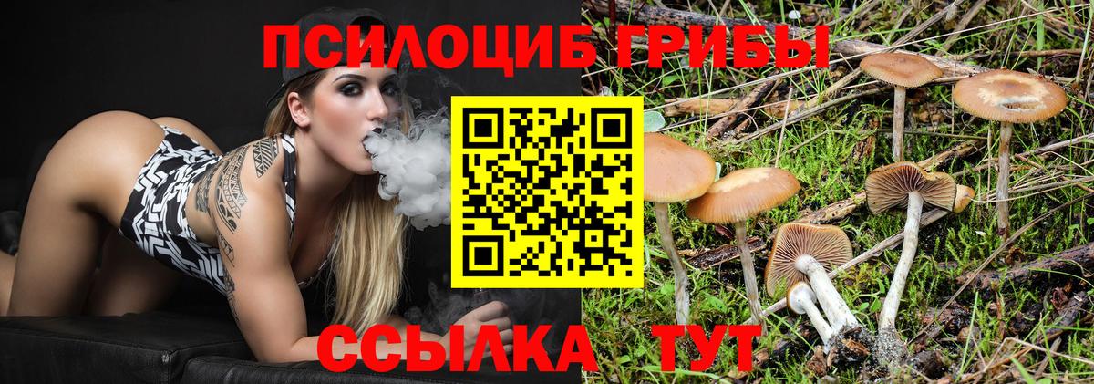 Усть-Джегута  Галлюциногенные грибы GOLDEN TEACHER  Вход с VPN 